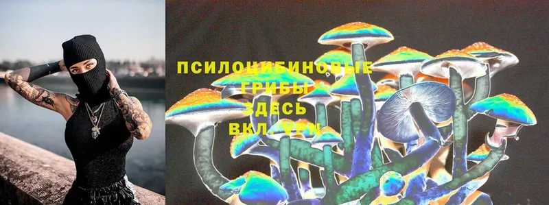 Галлюциногенные грибы Magic Shrooms  Ликино-Дулёво 