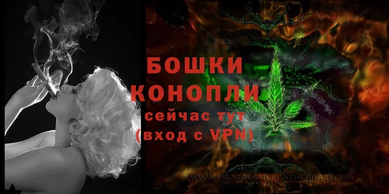 наркотики  Ликино-Дулёво  Канабис OG Kush 